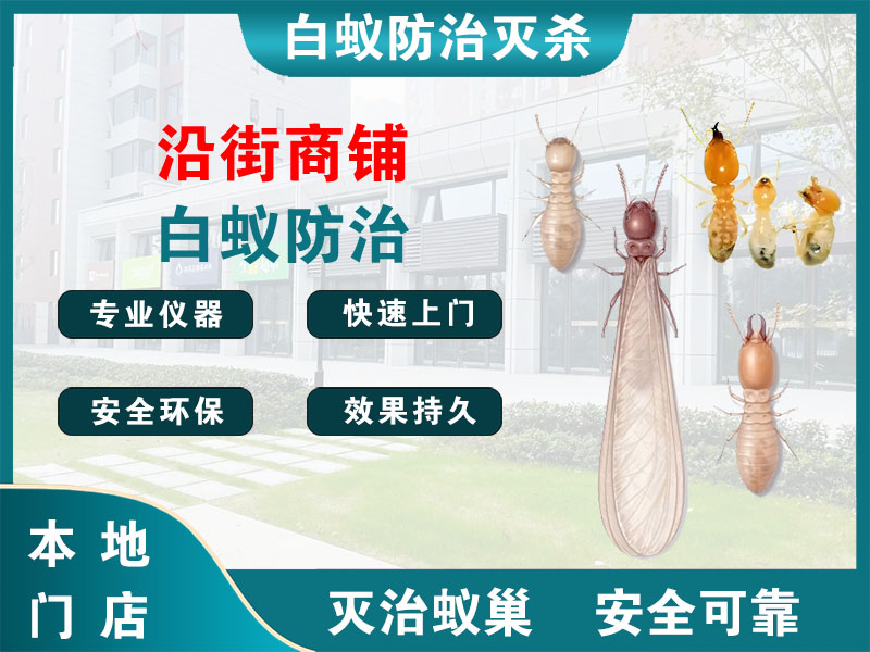玉环沿街商铺白蚁防治