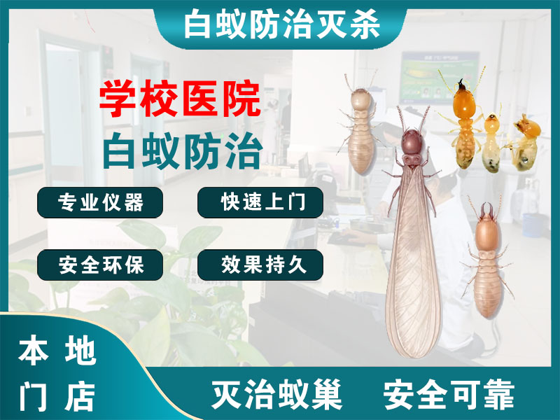 玉环学校医院白蚁防治