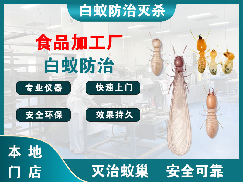 玉环食品加工厂白蚁防治