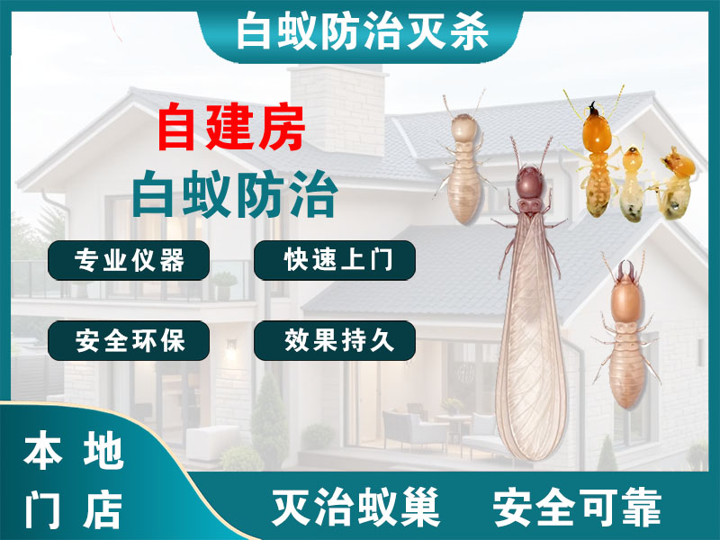 玉环自建房白蚁防治