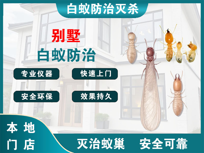 玉环别墅白蚁防治