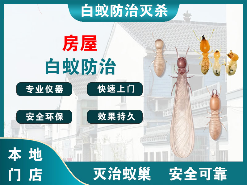 玉环房屋白蚁防治